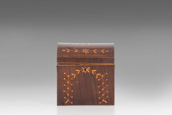 Satinwood Tea Caddy - TC130